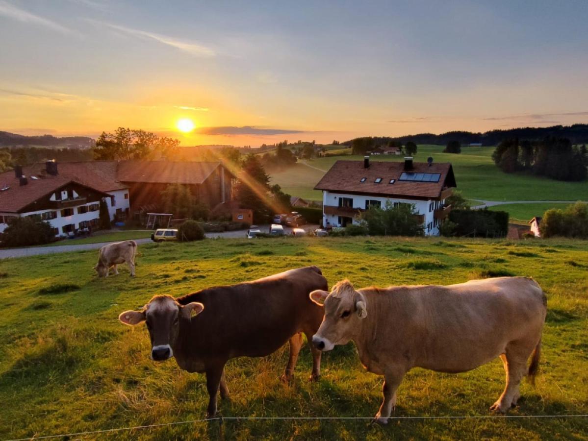 Ferienhof Hefele Apartment Hopferau Bagian luar foto